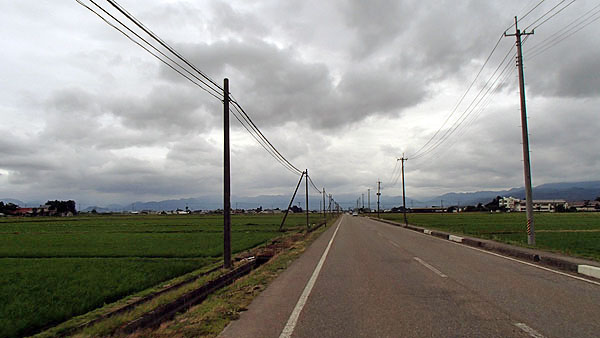 田んぼの中を走ります